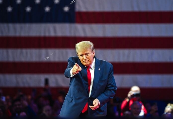 Trump teases potential role for 'great business guy' Elon Musk in administration: 'Secretary of Cost-Cutting'