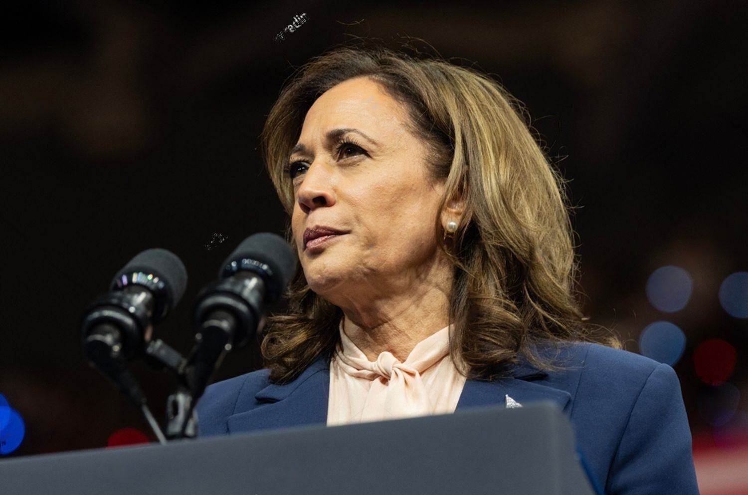 75 days: Kamala Harris has yet to do formal press conference since emerging as Democratic nominee 75 days: Kamala Harris has yet to do formal press conference since emerging as Democratic nominee