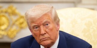 Pardon applications are being carefully crafted with one man in mind: Donald Trump