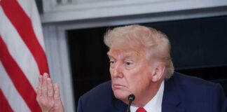 Trump Freezes Planned Putin Summit