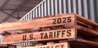 Trump Slashes China Tariffs