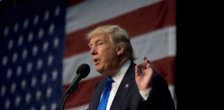 Trump Moves to Unify AI Rules Nationwide