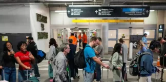 Airline Leaders Warn of Airport Staffing Risk