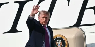 Trump Frees Clean Air Defendants