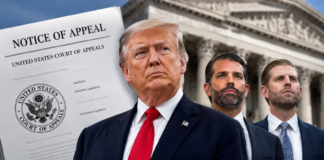 Trump Appeals Judge’s Order Blocking Use of IRS Tax Immunity Settlement
