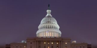Trump Loyalist Candidate Shows Unwavering Support capitol (stock photo)